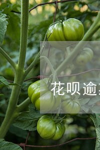 花呗逾期的违约金怎么算的