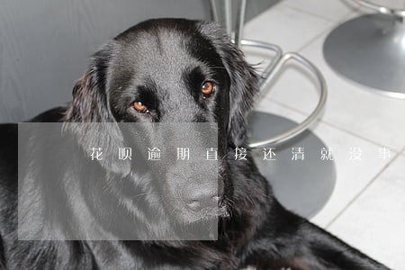 花呗逾期直接还清就没事了吗 花呗逾期直接还清就没事了吗