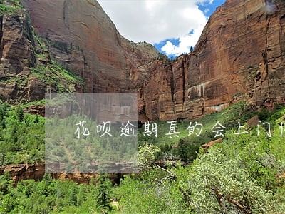 花呗逾期真的会上门催收吗 花呗逾期真的会上门催收吗