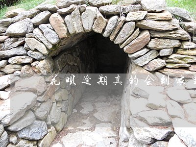 花呗逾期真的会到家里来吗 花呗逾期真的会到家里来吗