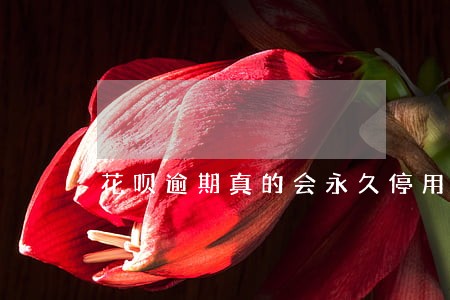 花呗逾期真的会永久停用吗 花呗逾期真的会永久停用吗