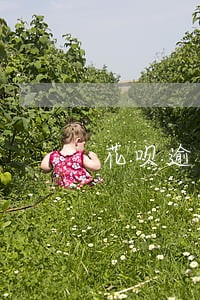 花呗逾期真的有宽限吗 花呗逾期真的有宽限吗
