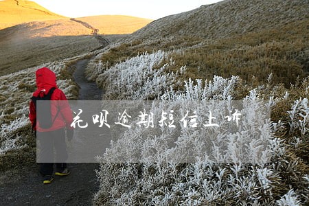花呗逾期短信上诉 花呗逾期短信上诉