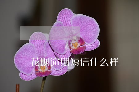 花呗逾期短信什么样 花呗逾期短信什么样