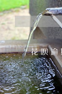 花呗逾期短信催款格式