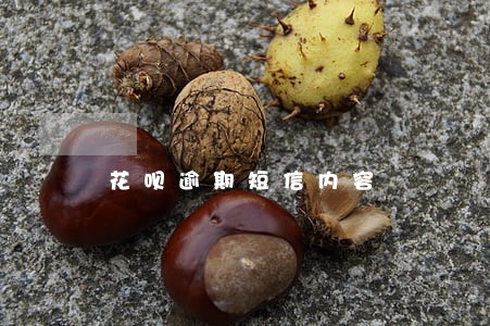 花呗逾期短信内容 花呗逾期短信内容