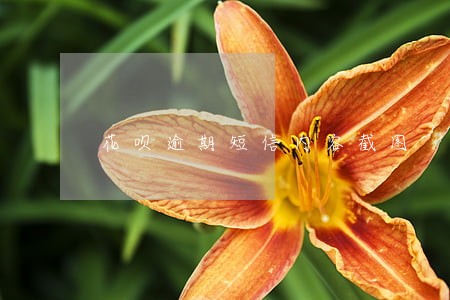 花呗逾期短信内容截图