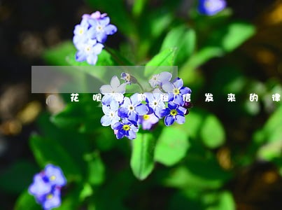 花呗逾期短信发来的律师函 花呗逾期短信发来的律师函