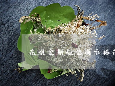 花呗逾期短信提示格式 花呗逾期短信提示格式