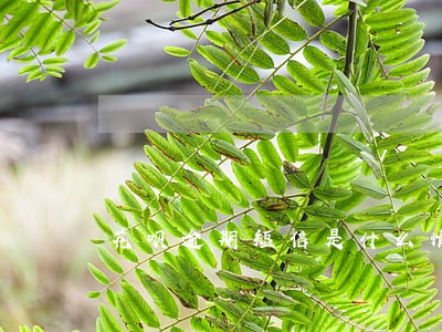 花呗逾期短信是什么情况 花呗逾期短信是什么情况