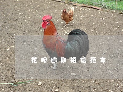 花呗逾期短信范本 花呗逾期短信范本