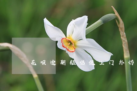 花呗逾期短信说上门外访 花呗逾期短信说上门外访