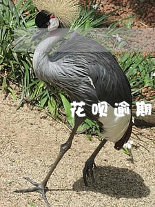 花呗逾期短信说提交仲裁立案 花呗逾期短信说提交仲裁立案