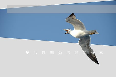 花呗逾期短信通知样本 花呗逾期短信通知样本