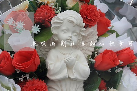 花呗逾期社保和公积金可以交吗 花呗逾期社保和公积金可以交吗