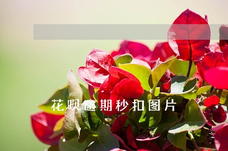 花呗逾期秒扣图片 花呗逾期秒扣图片