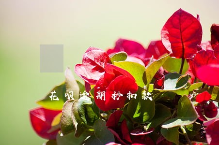 花呗逾期秒扣款 花呗逾期秒扣款