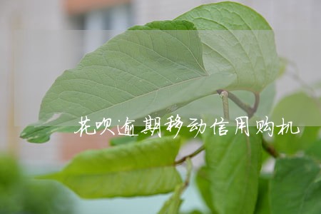 花呗逾期移动信用购机 花呗逾期移动信用购机