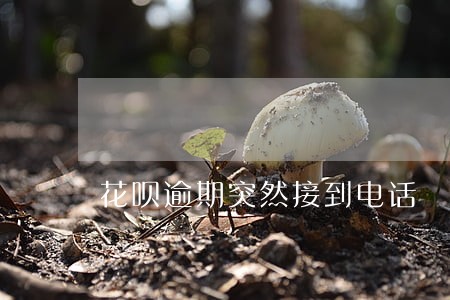 花呗逾期突然接到电话 花呗逾期突然接到电话
