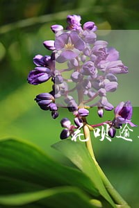 花呗逾期第三方会打电话给家人么