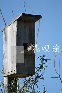 花呗逾期第三方说报案