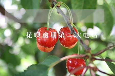 花呗逾期第二次电话 花呗逾期第二次电话
