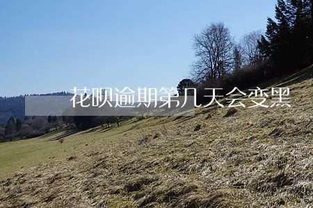 花呗逾期第几天会变黑