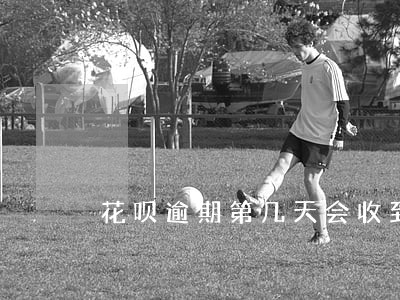 花呗逾期第几天会收到短信