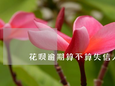 花呗逾期算不算失信人