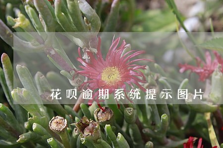 花呗逾期系统提示图片 花呗逾期系统提示图片