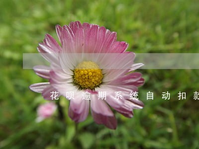 花呗逾期系统自动扣款 花呗逾期系统自动扣款
