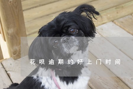 花呗逾期约好上门时间 花呗逾期约好上门时间