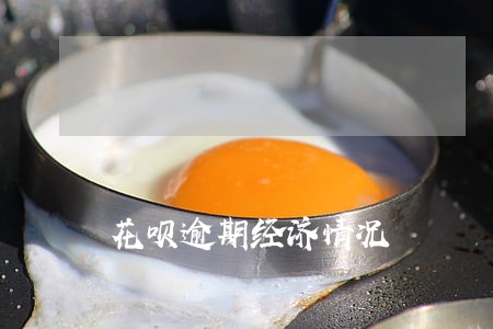 花呗逾期经济情况 花呗逾期经济情况