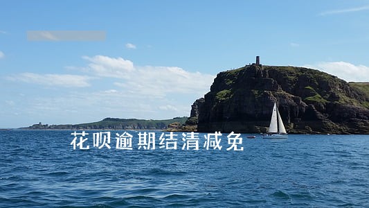 花呗逾期结清减免