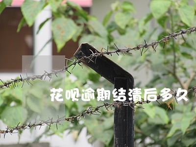 花呗逾期结清后多久 花呗逾期结清后多久