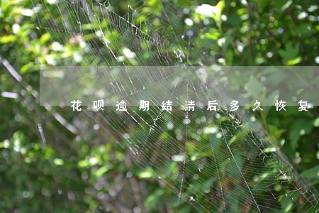 花呗逾期结清后多久恢复使用 花呗逾期结清后多久恢复使用