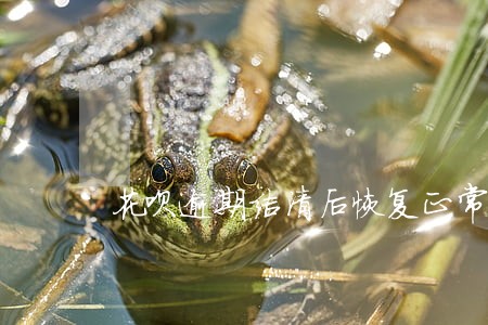 花呗逾期结清后恢复正常 花呗逾期结清后恢复正常