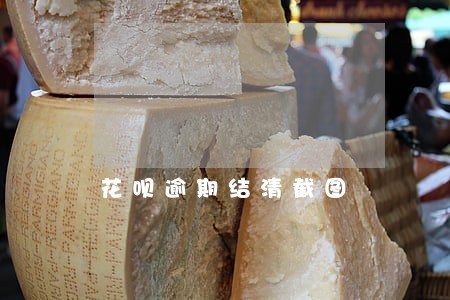 花呗逾期结清截图 花呗逾期结清截图
