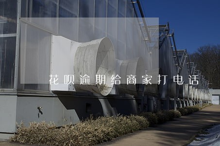 花呗逾期给商家打电话 花呗逾期给商家打电话