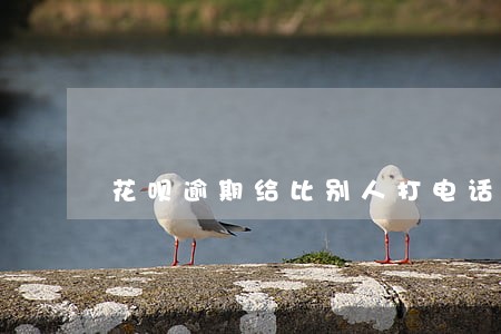 花呗逾期给比别人打电话 花呗逾期给比别人打电话