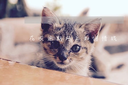 花呗逾期网上如何借钱