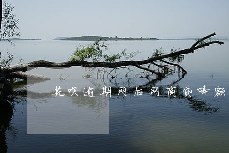 花呗逾期网后网商贷降额 花呗逾期网后网商贷降额