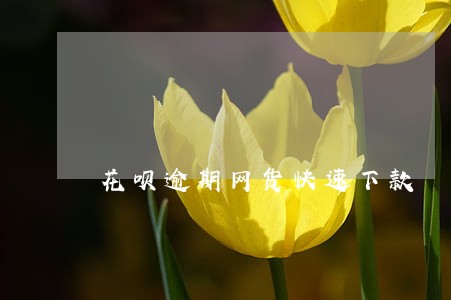 花呗逾期网货快速下款 花呗逾期网货快速下款
