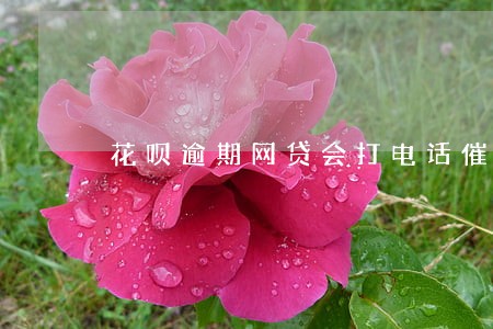 花呗逾期网贷会打电话催款吗 花呗逾期网贷会打电话催款吗