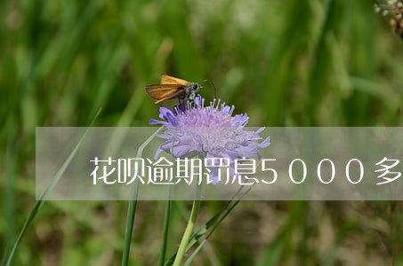 花呗逾期罚息5000多能减免吗 花呗逾期罚息5000多能减免吗
