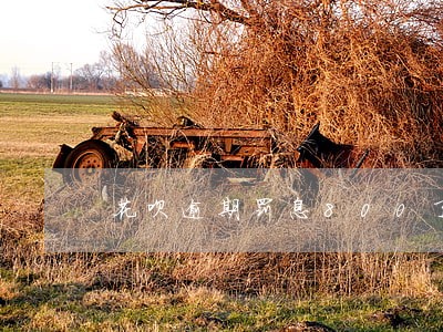 花呗逾期罚息800了会怎么样