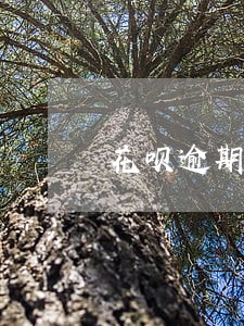 花呗逾期罚息一天多少 花呗逾期罚息一天多少