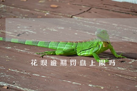 花呗逾期罚息上限吗 花呗逾期罚息上限吗