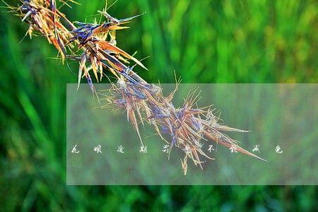 花呗逾期罚息不能减免 花呗逾期罚息不能减免