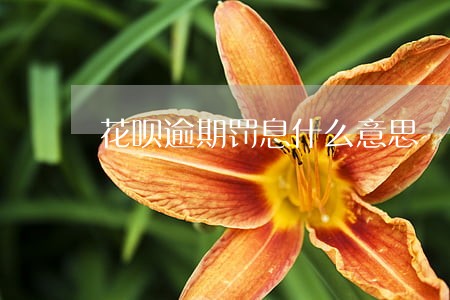 花呗逾期罚息什么意思 花呗逾期罚息什么意思